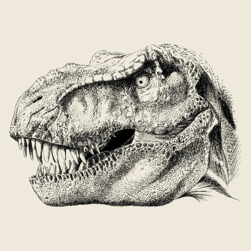 Dinosaur 