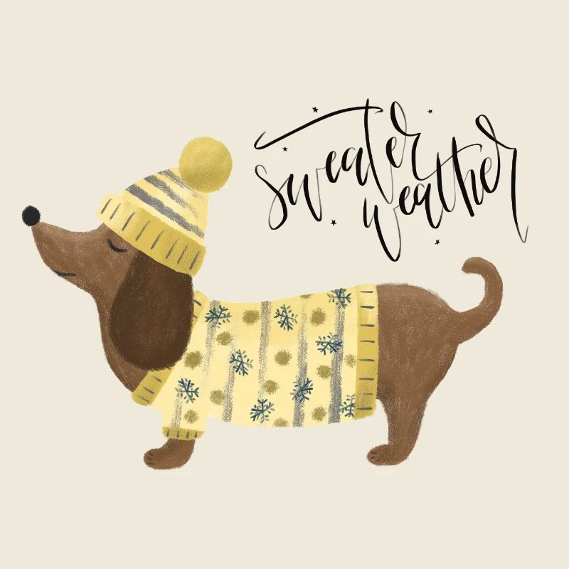Teckel avec pull et chapeauSweater Météo jaune