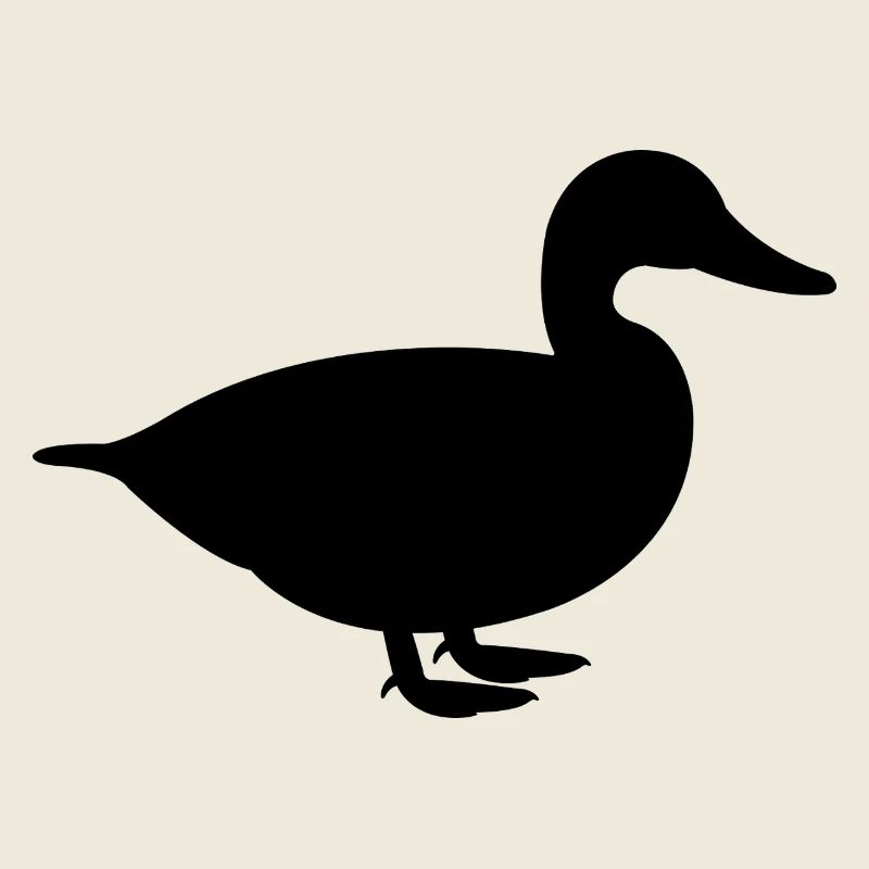 Canard