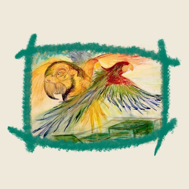 Aras au-dessus de la forêt tropicale