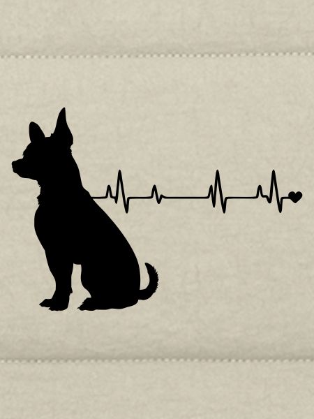 Hund