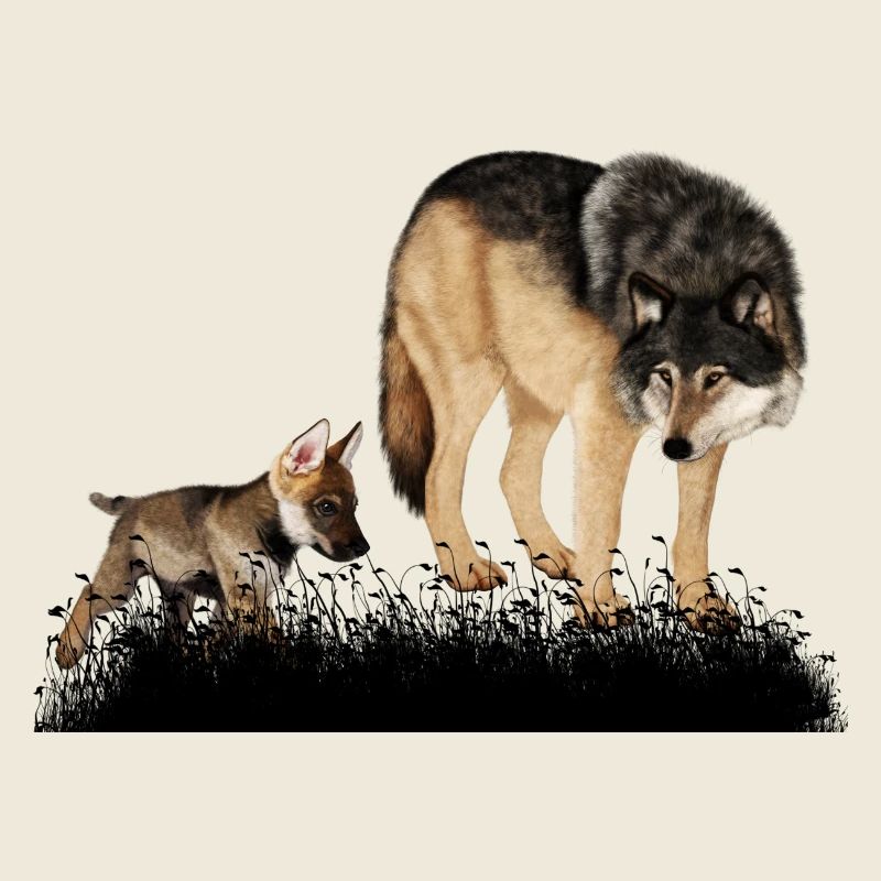 Loup renversant avec l’ourson dans les bois
