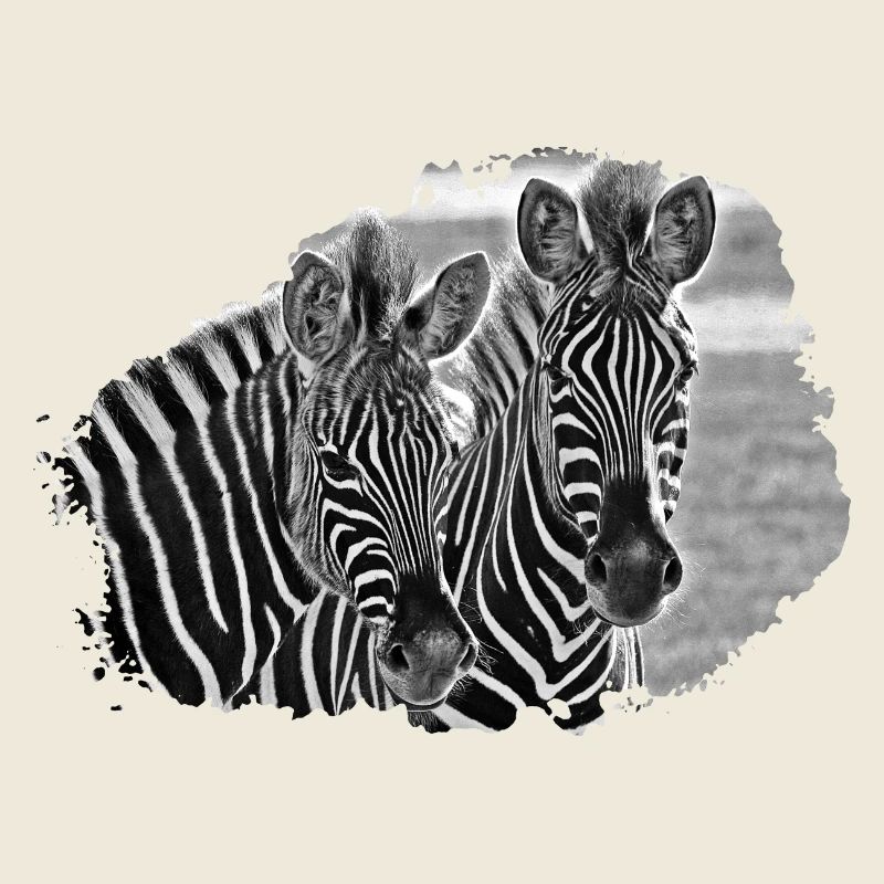 Schwarzweiß Zebra-Duo