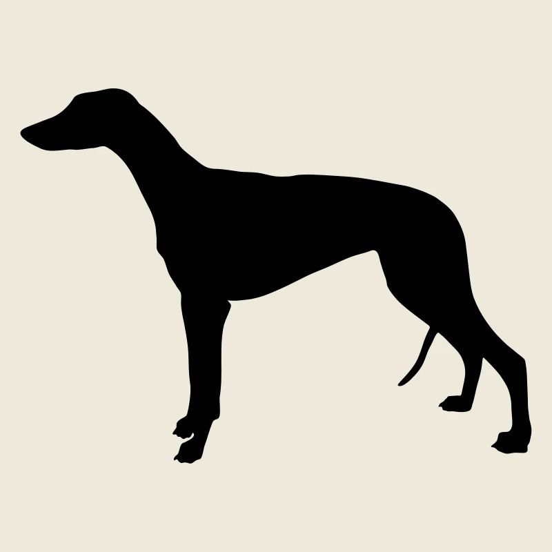 Greyhound