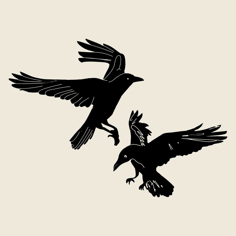 Deux radeaux Hugin et Munin