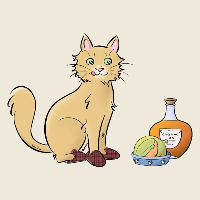Chat-rentais