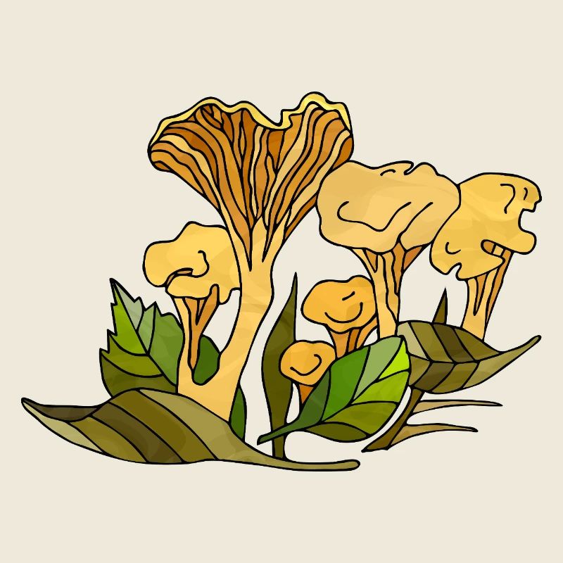 mycètes