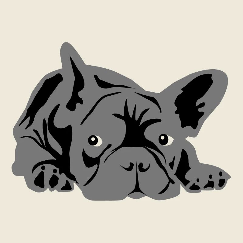 bouledogue français 2 couleurs
