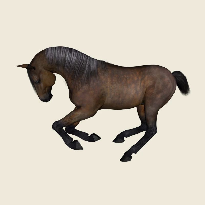 cheval
