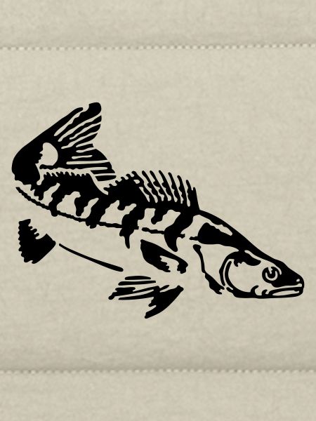 zander