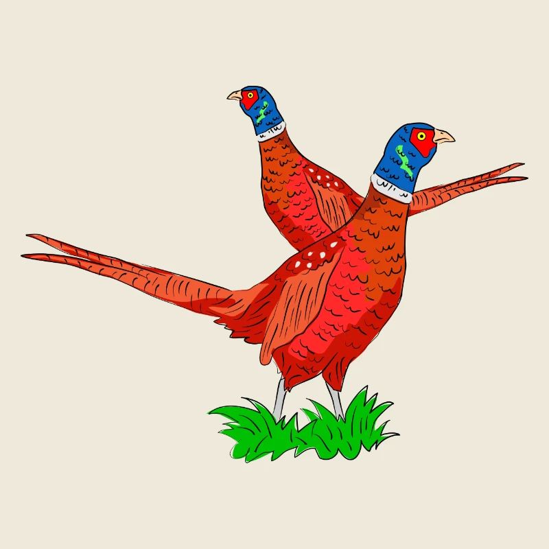 Fabulous Pheasant Illustration