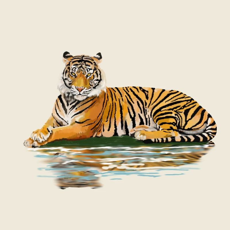 tiger