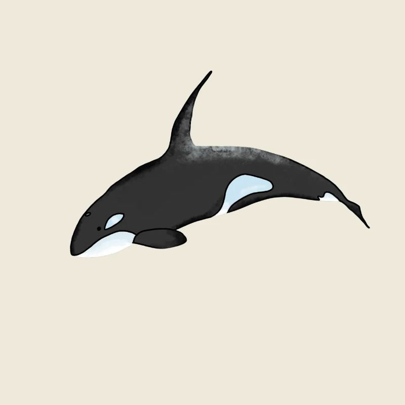 Orca Night Sky Cartoon Print