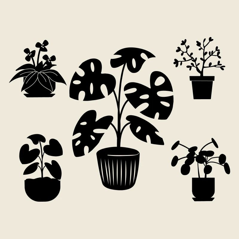 Houseplants five