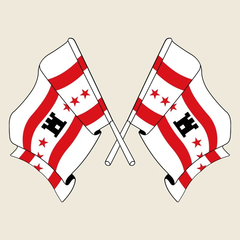 Deux drapeaux de la province de Drenthe