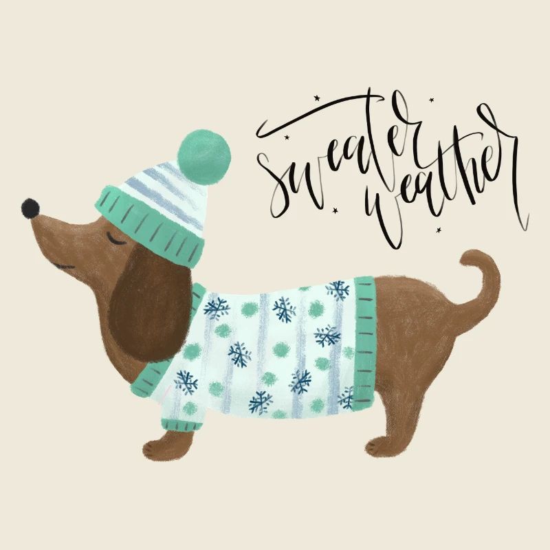 Teckel avec pull et chapeau - Sweater Weather