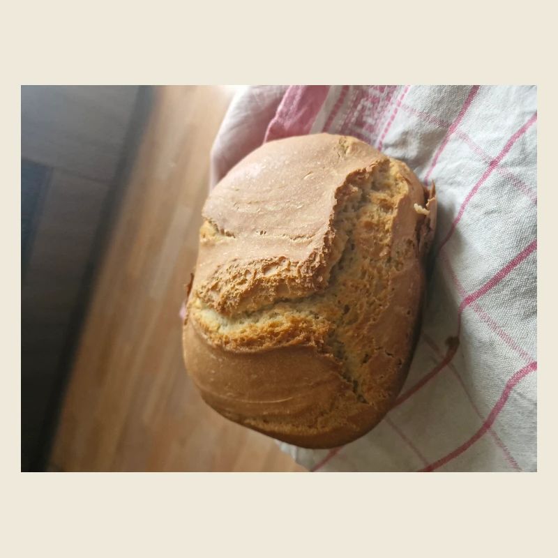 Golden crust rustic bread