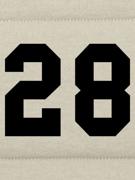 28