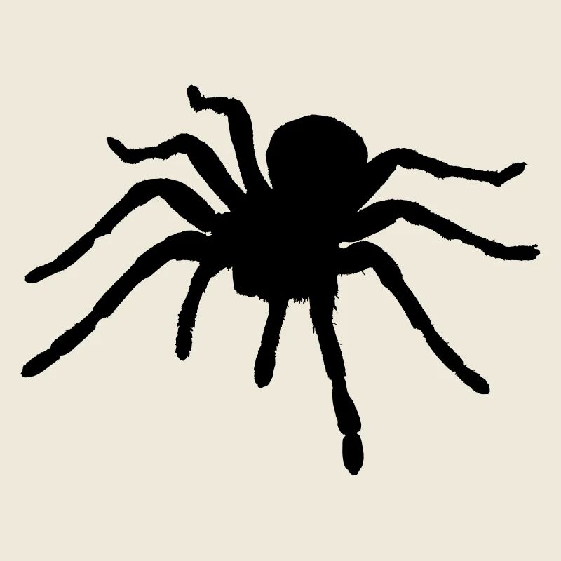 Spider - Araignée - Ragno - Araña