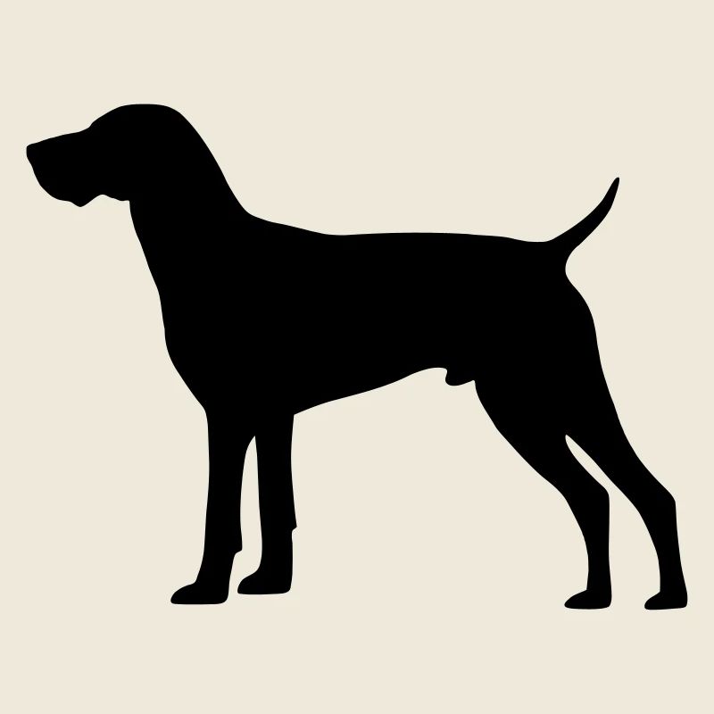 Jagdhund Deutsch Kurzhaar