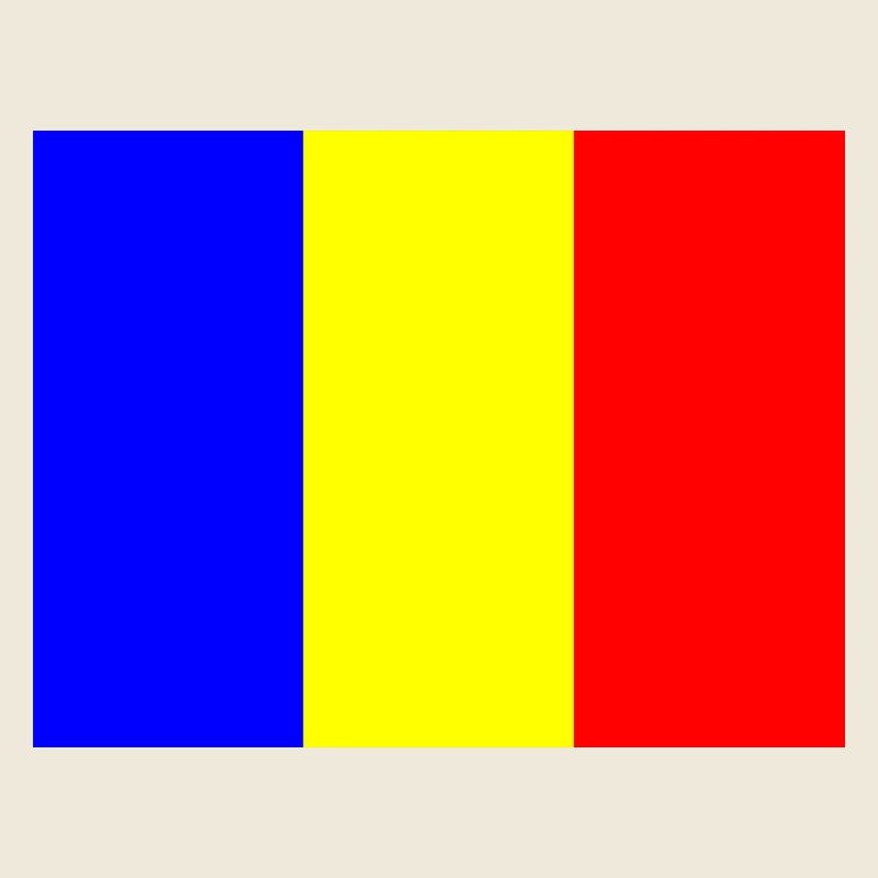 Drapeau de la Roumanie avec design de barre de couleur