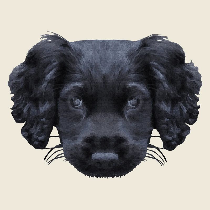 weihnachtsgeschenke für jedermann, Cocker spaniel