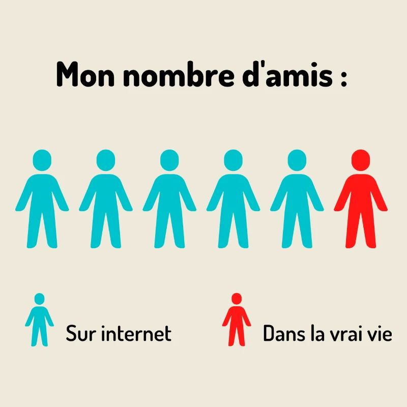 Cadeau humour: Amis Internet VS Amis réels