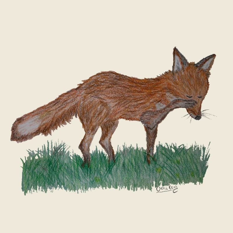 Ich bin nur ein Fuchs