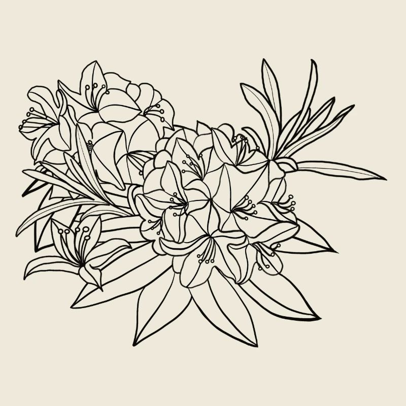 Rhododendron | Floraison | Nature | Idée cadeau