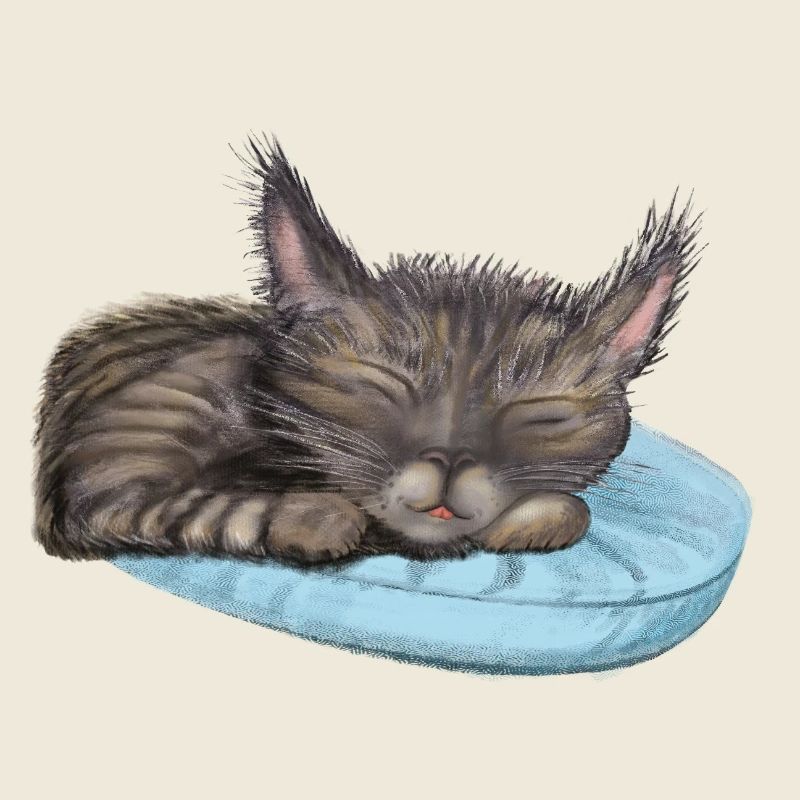 Schlafende Katze
