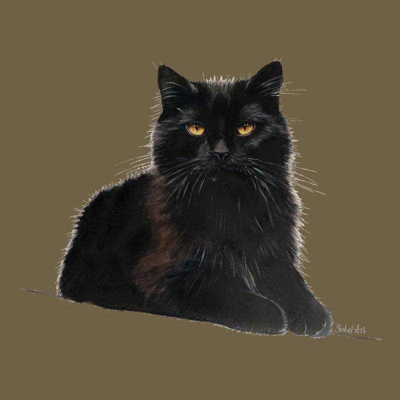 Katze