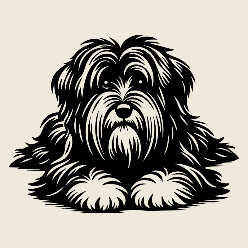 Terrier tibétain