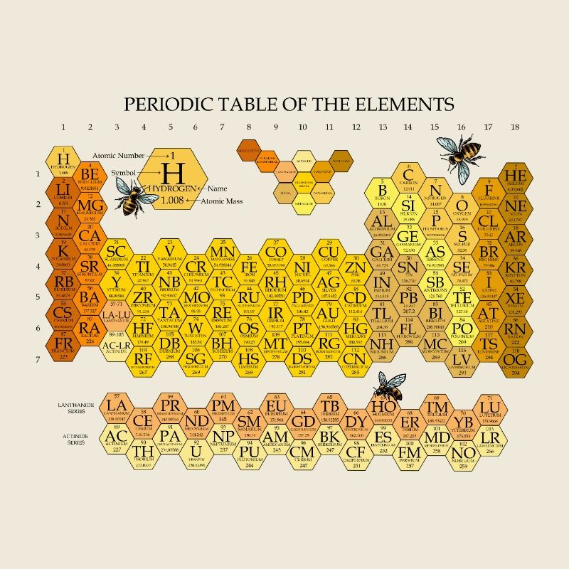 Periodic Table Of The Elements Honeycomb With Bees