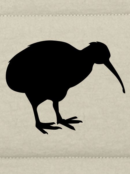 kiwibird neuseeland