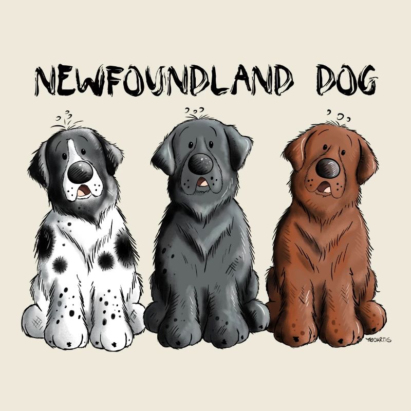 Neufundländer Team