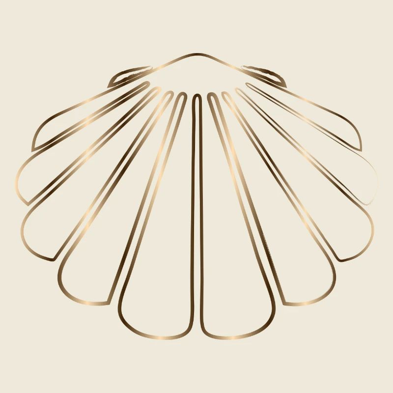 dessin chatoyant d’une coquille Saint-Jacques