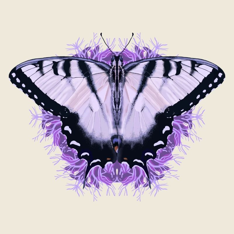 Weißer Schmetterling mit lila Blüte
