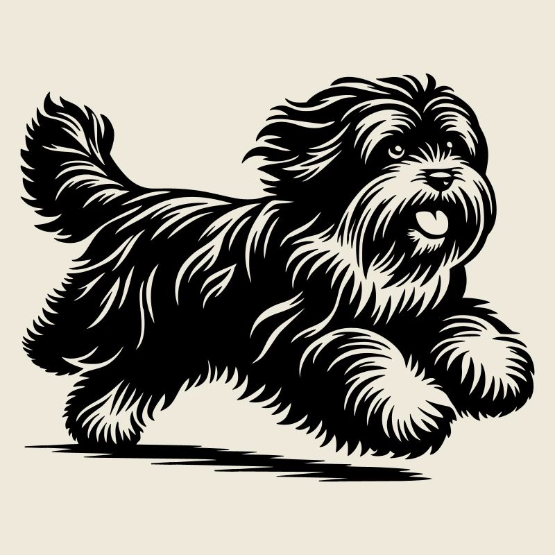 Terrier tibétain