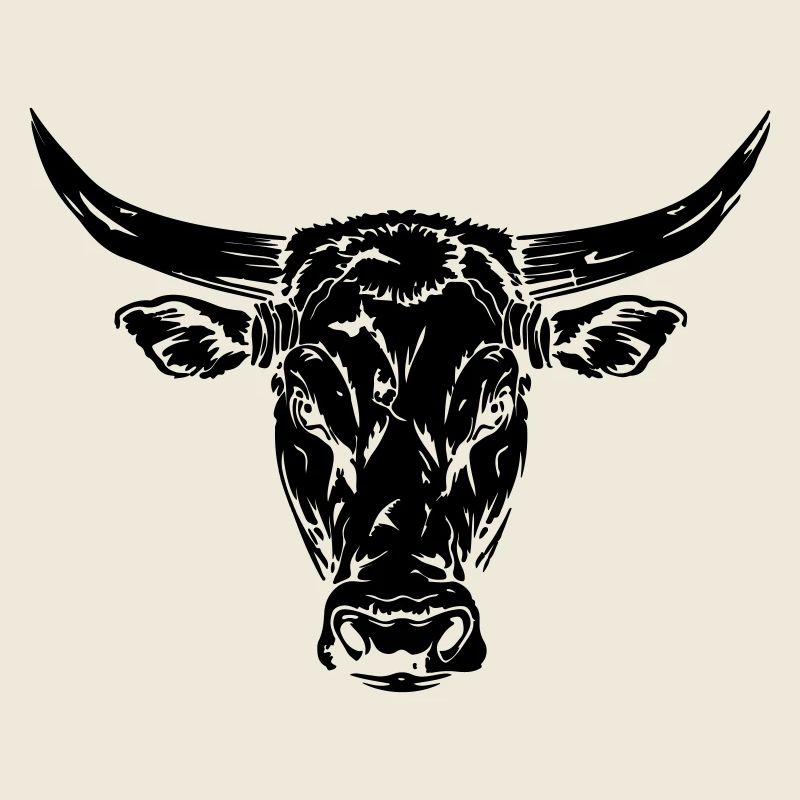 Stier