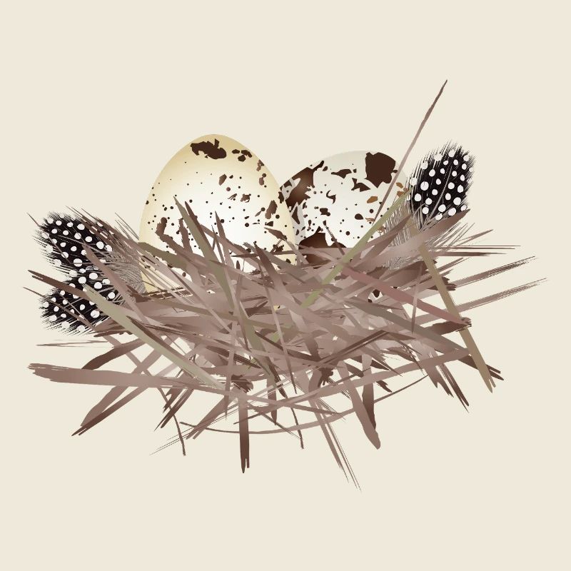 Œufs de caille dans le nid avec plumes de pintade