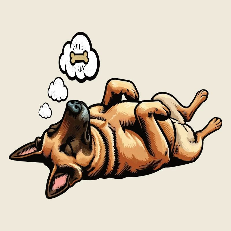 Berger Belge Malinois Propriétaire Malinois