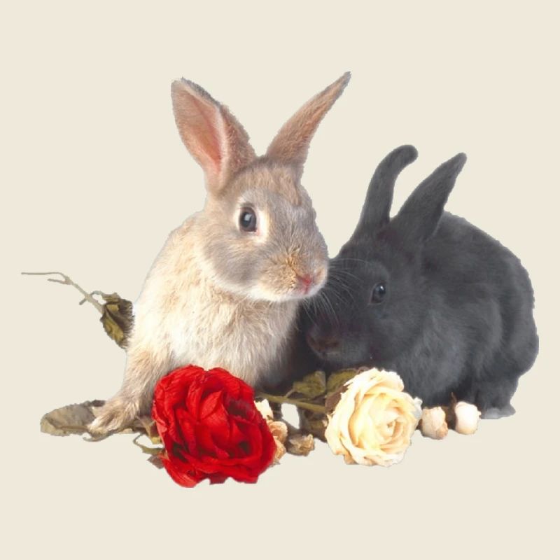 Ostern Häschen mit roses16