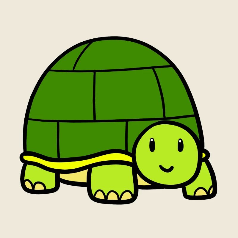 Little turtle