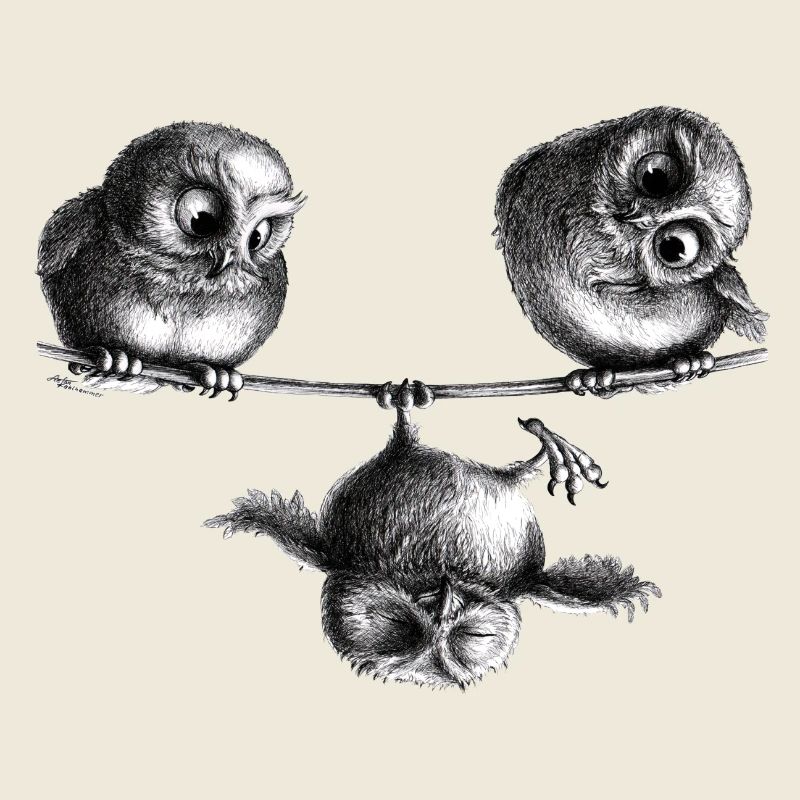 Three Owls - Freedom and Fun