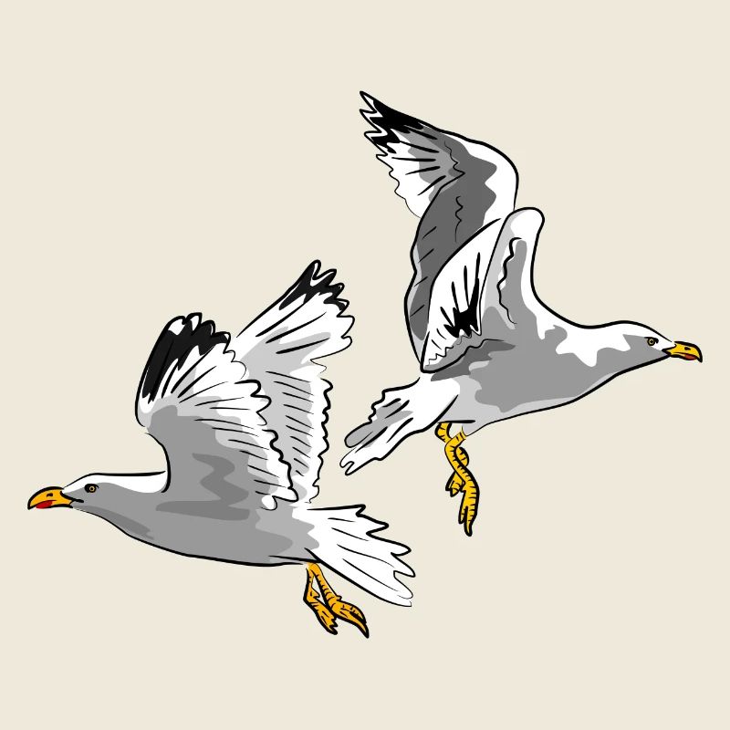 mouette