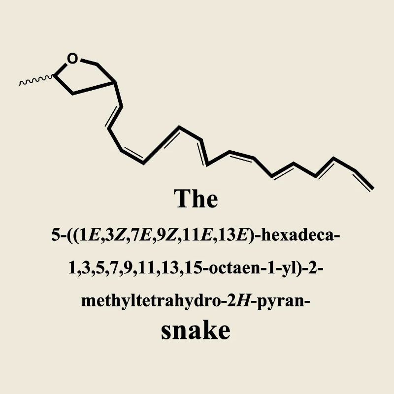Serpent - Nerd Nomenclature IUPAC - Chimie - noir