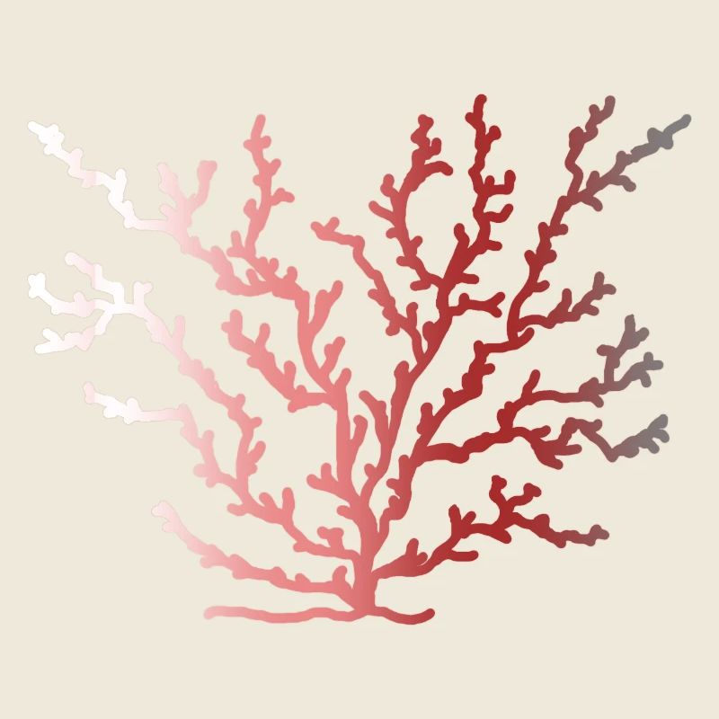 coralfantasy Coral
