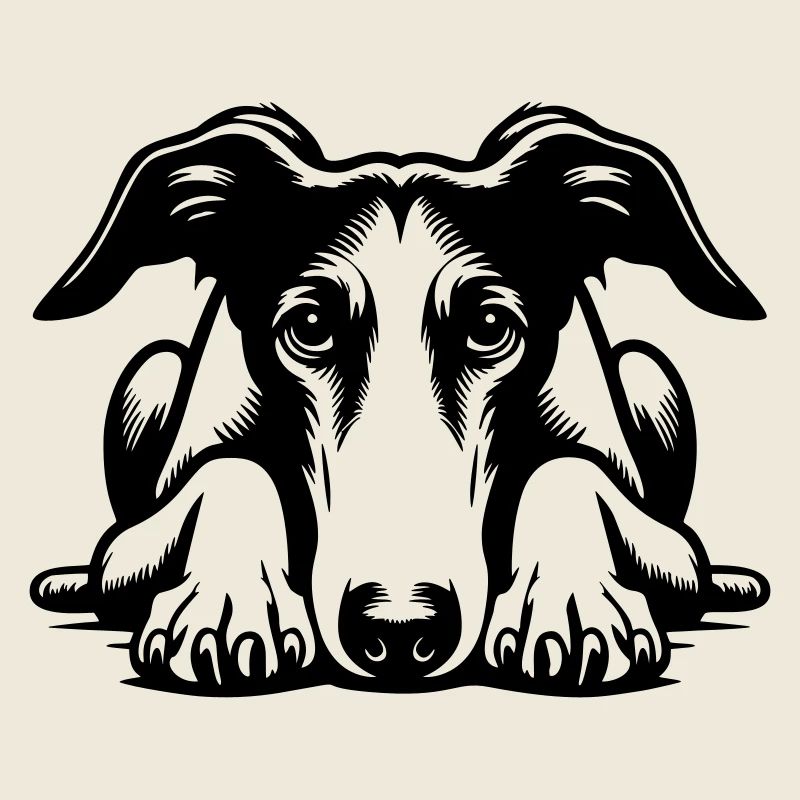 Tête de Galgo avec pattes