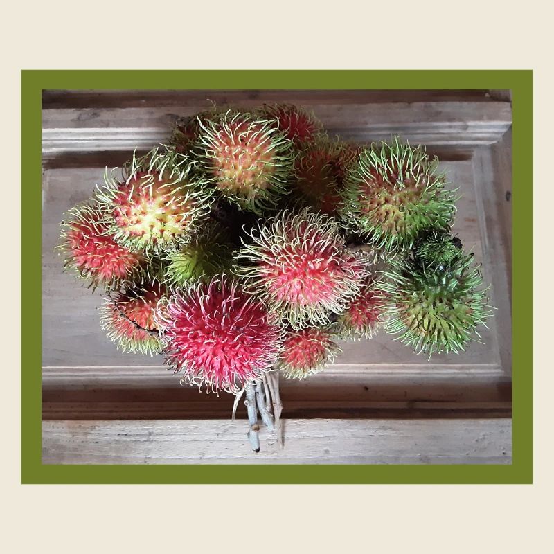 Litschi frucht 