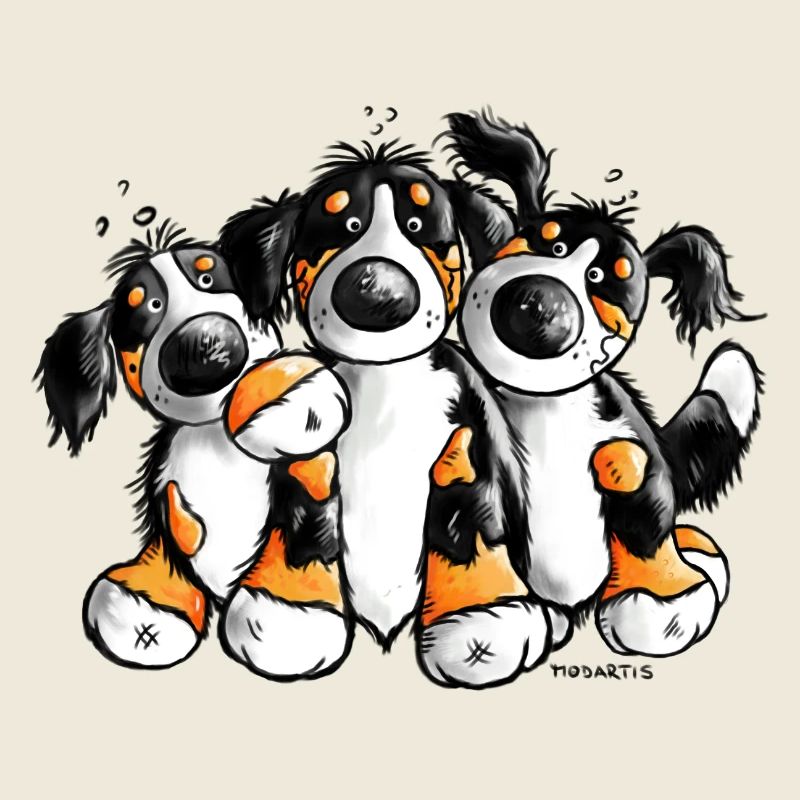 Drollige Berner Sennenhunde